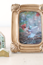 Flower fairy photograph nursery decoration
