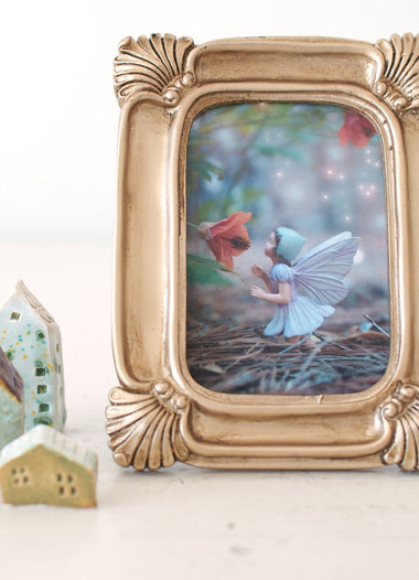 Flower fairy photograph nursery decoration