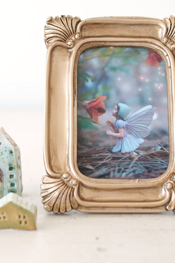 Flower fairy photograph nursery decoration
