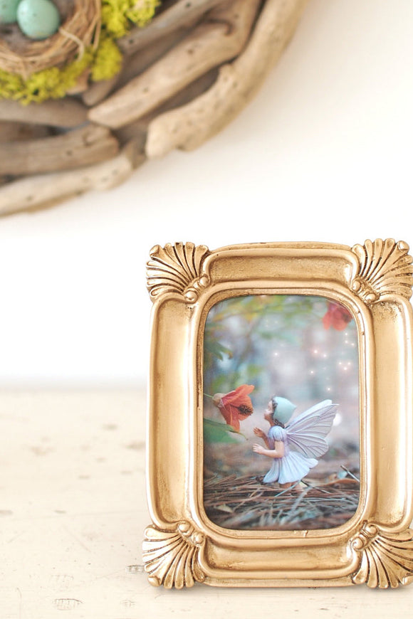 Flower fairy photograph nursery decoration