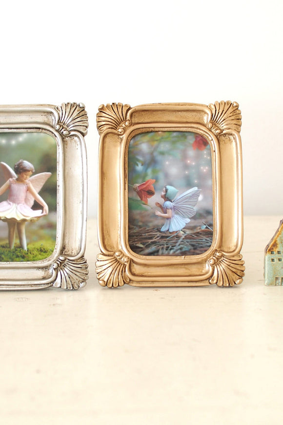 Flower fairy photograph nursery decoration