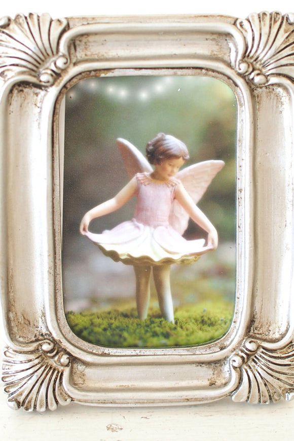 Flower fairy photograph nursery decoration