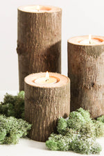 Tree branch candle holders set